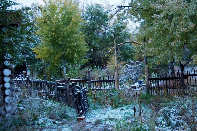 Taos Goji Farm & Eco-Lodge Retreat Arroyo Seco Buitenkant foto
