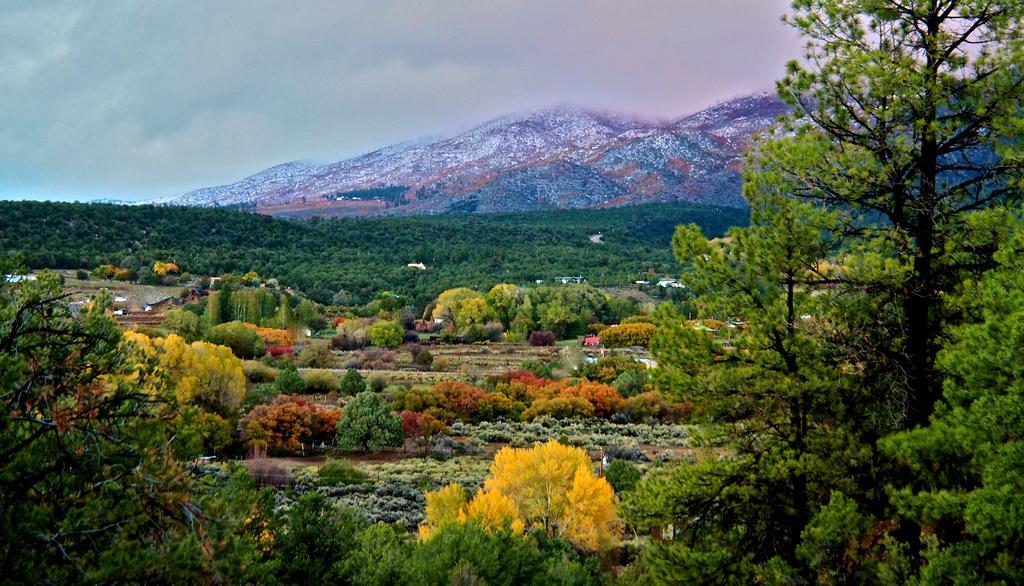 Taos Goji Farm & Eco-Lodge Retreat Arroyo Seco Buitenkant foto