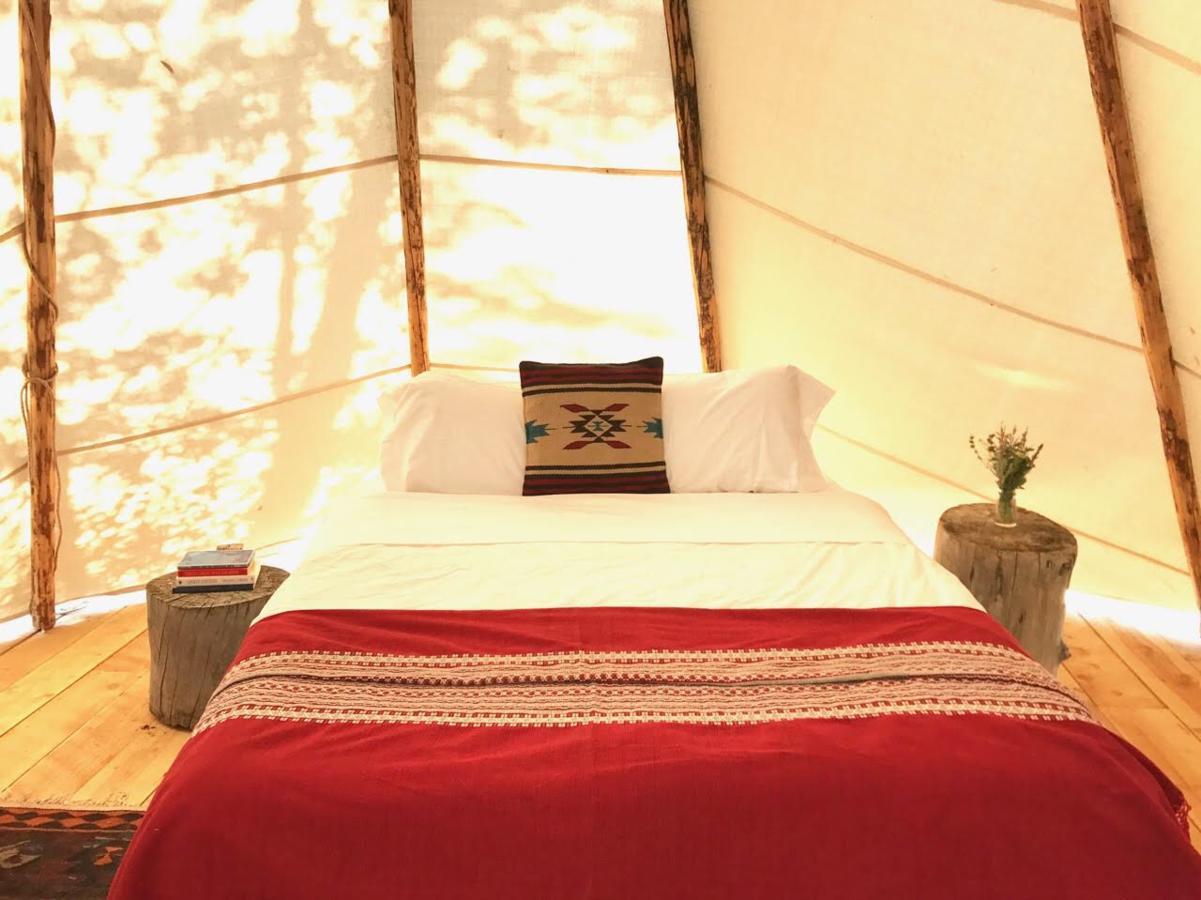 Taos Goji Farm & Eco-Lodge Retreat Arroyo Seco Buitenkant foto
