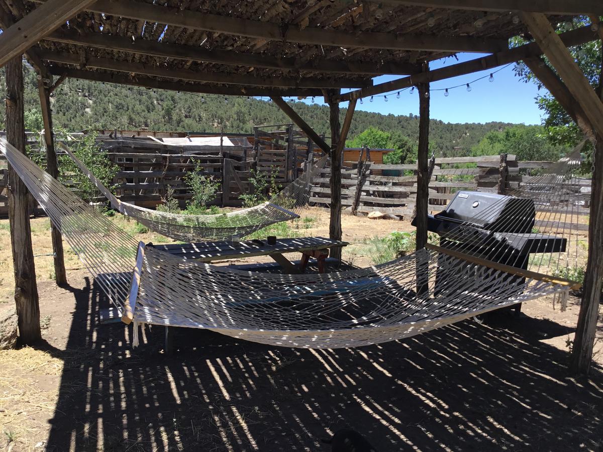 Taos Goji Farm & Eco-Lodge Retreat Arroyo Seco Buitenkant foto